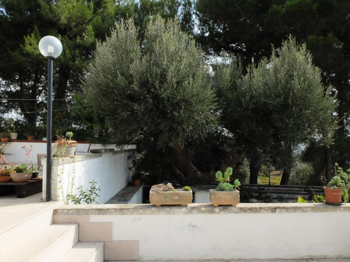 Vila Trullo Chiari Di Bosco Martina Franca Exteriér fotografie